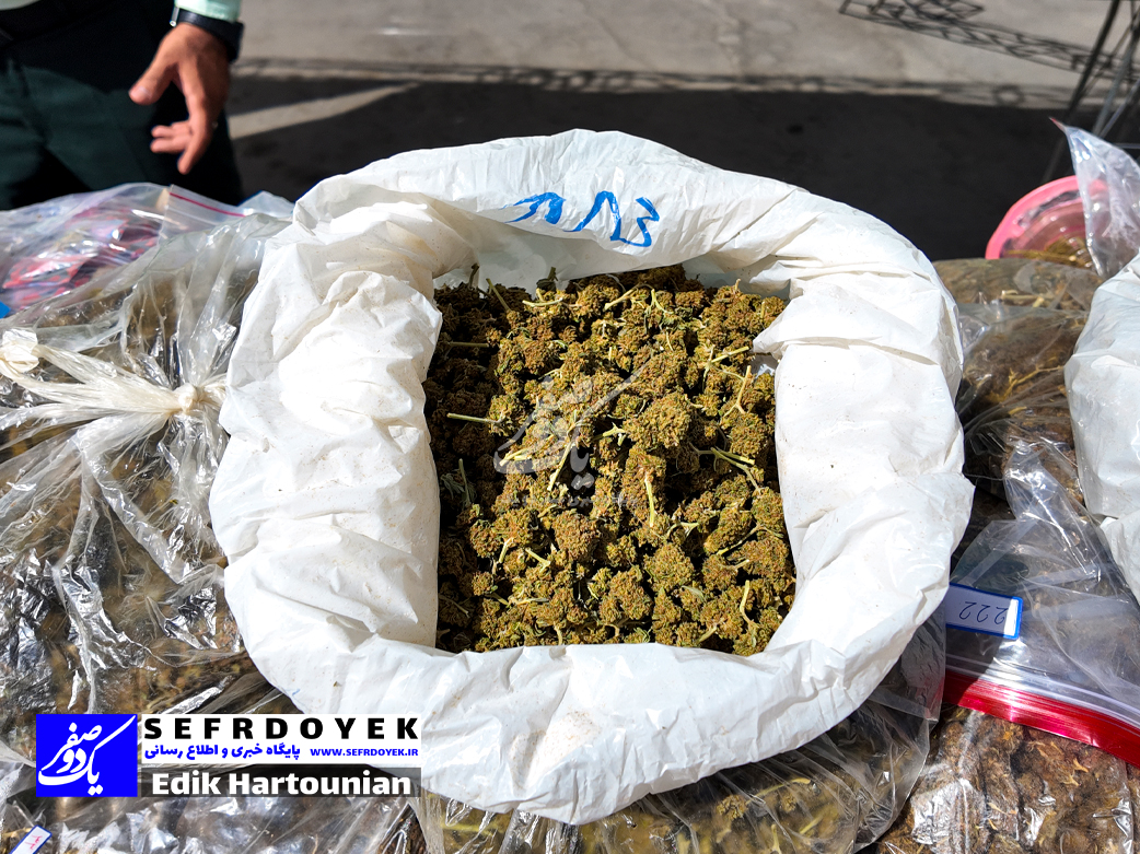 560 کیلوگرم گل و دستگیری 17 نفر توسط پلیس مبارزه با مواد مخدر تهران بزرگ نمایشگاه کشفیات فاتب
